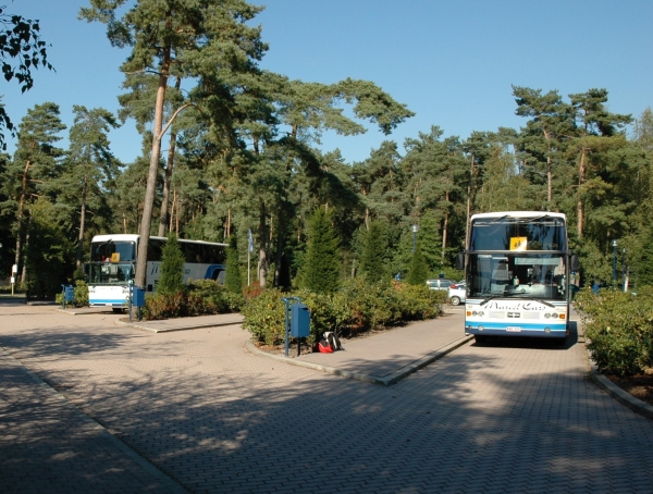 bus transport
